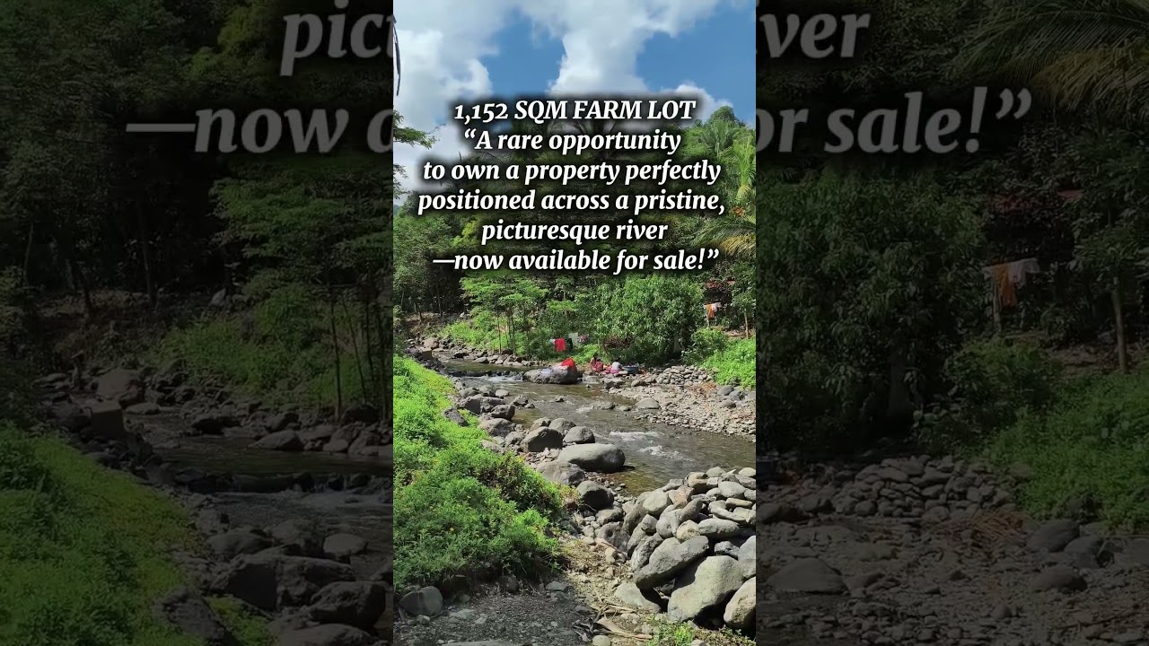 1,152 sqm Farm Lot along the river #farmland #farmlot #farmlotforsaleinphilippines