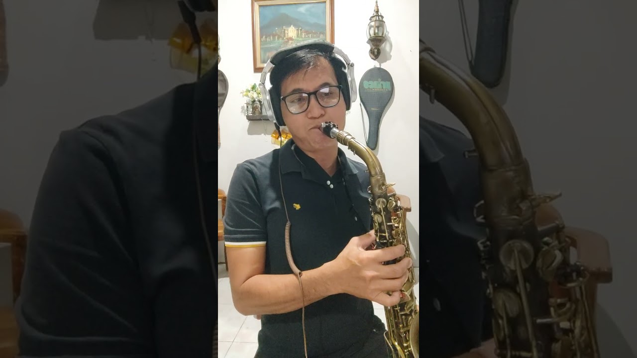 Love story, Where do I begin alto sax cover