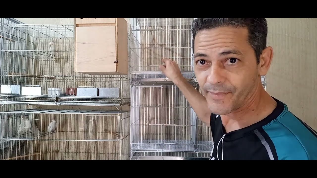 como fazer  trava para  portas das gaiolas. evite fugas