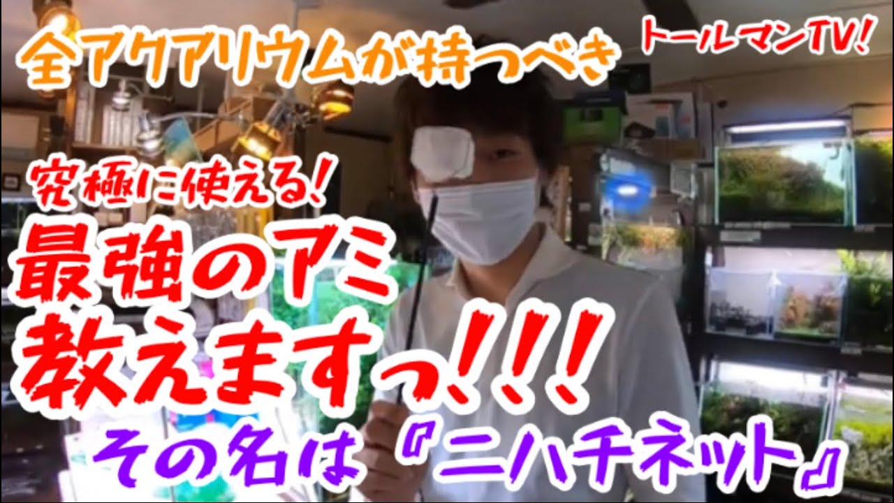 最高に掬いやすいニハチネットの極意！！トールマンTV！！