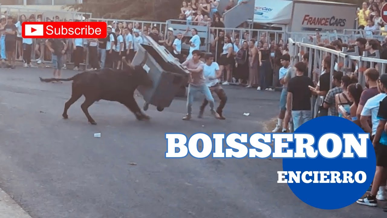 Bonne Encierro ➡️ fête de Boisseron 🇫🇷13/06/2025 Manade Lafon 👍🏼😉