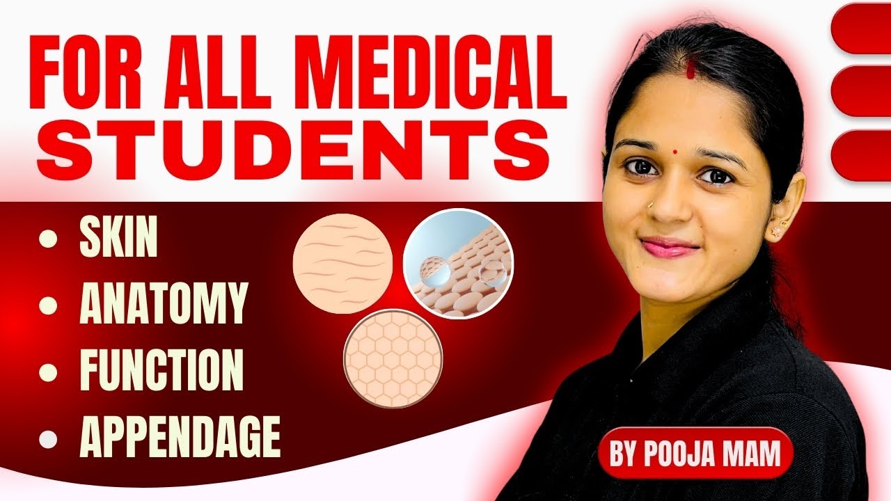 WHAT IS SKIN ANATOMY | function of skin anatomy and physiology in hindi | PARAMEDICAL UPDATES