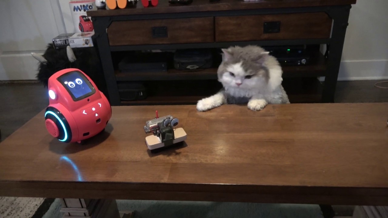 Robot Idol - Auditions (Day 2, Audition 2 - Brushy Bot)