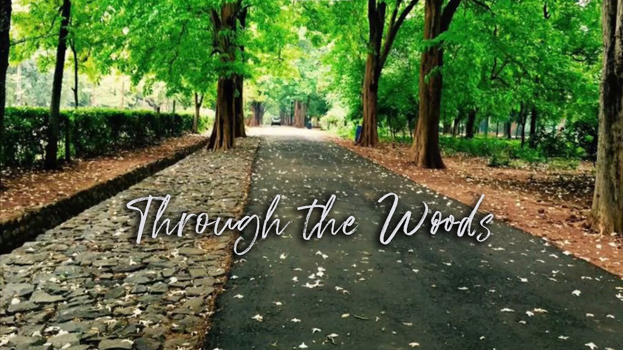 Through the woods with the Madras Christian College Cultural team.