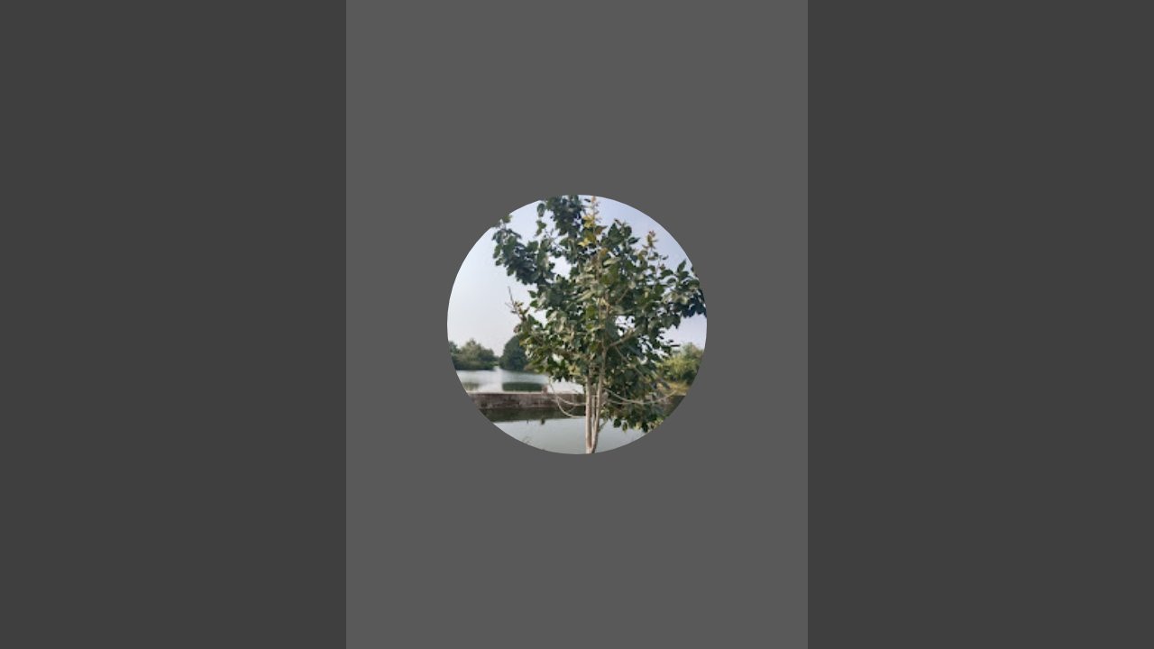 Naagar Foundation _नागर फौंडेशन  is live!