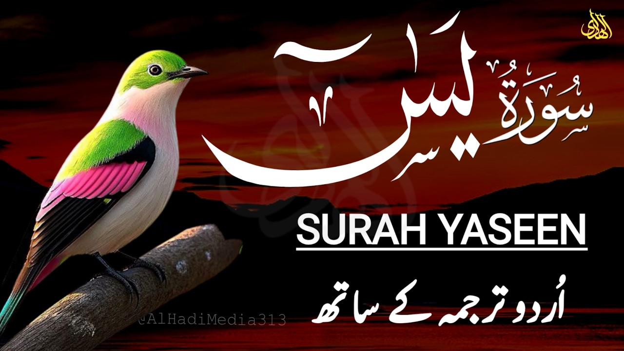 Surah Yaseen Urdu Tarjuma ke Sath | Peaceful Recitation | Episode - 662