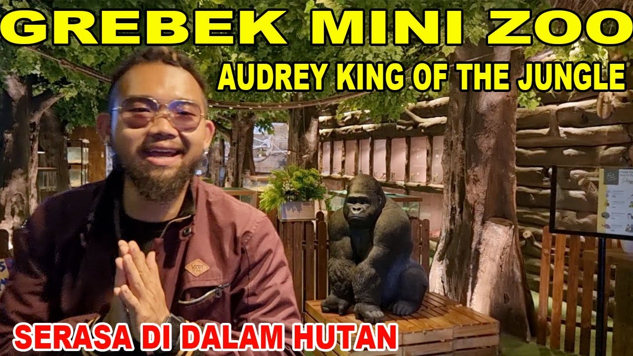 GREBEK MINI ZOO AUDREY KING OF THE JUNGLE
