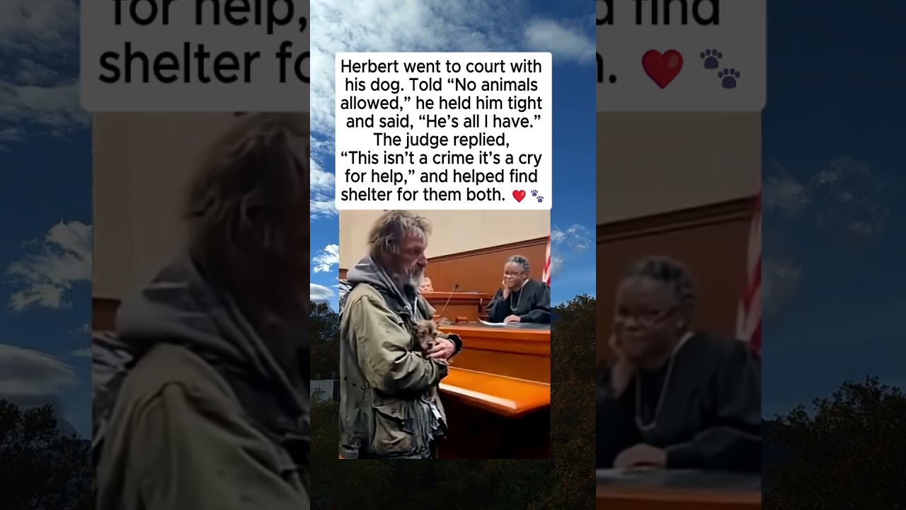 🔴“He Is All I Have” – A Dog, a Man, and a Judgment Full of Humanity ❤️🐾
