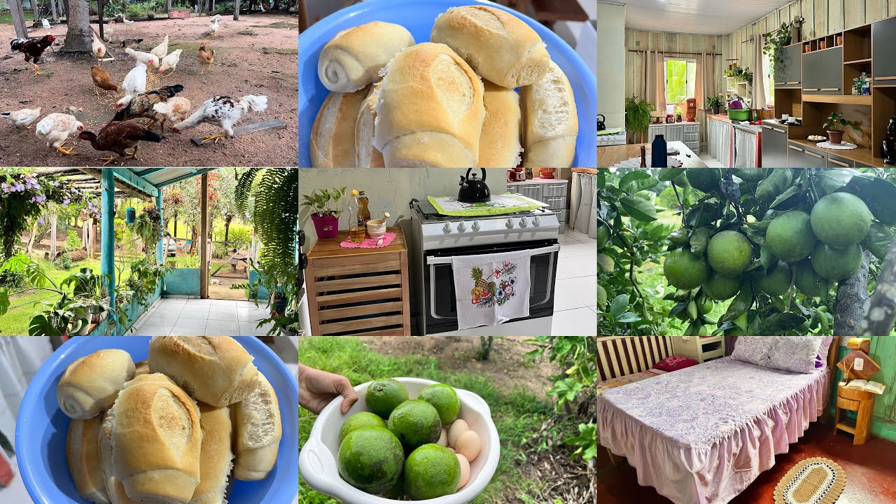 Vlog/ Minha rotina de todos os dias aqui na roça/ Fiz pão de sal 