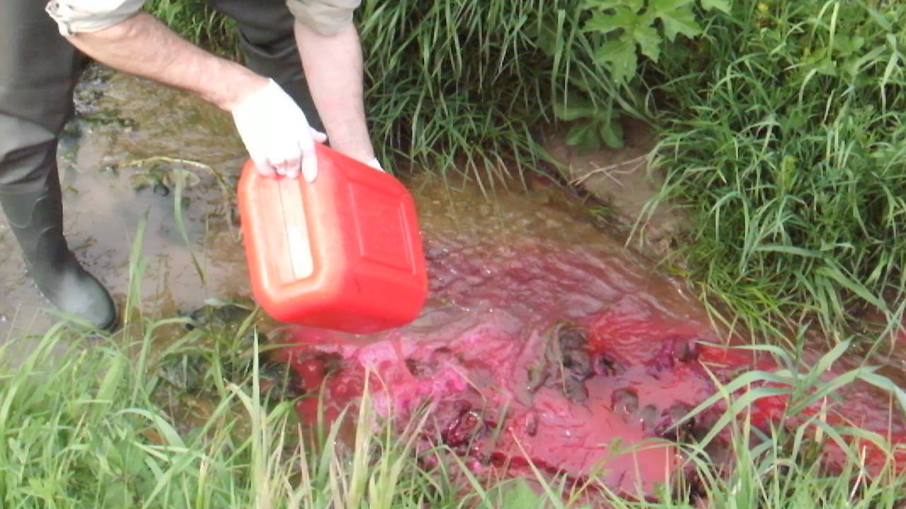 Injection de sulforhodamine B dans la Cisse (entre Conan et Boisseau, 41) le 6 mai 2016