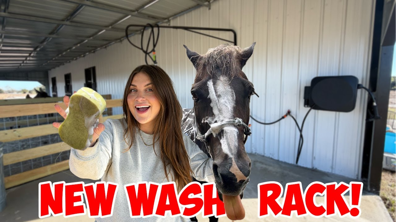DIY Horse Wash Rack! | Building My NEW DREAM HORSE BARN PART 7!