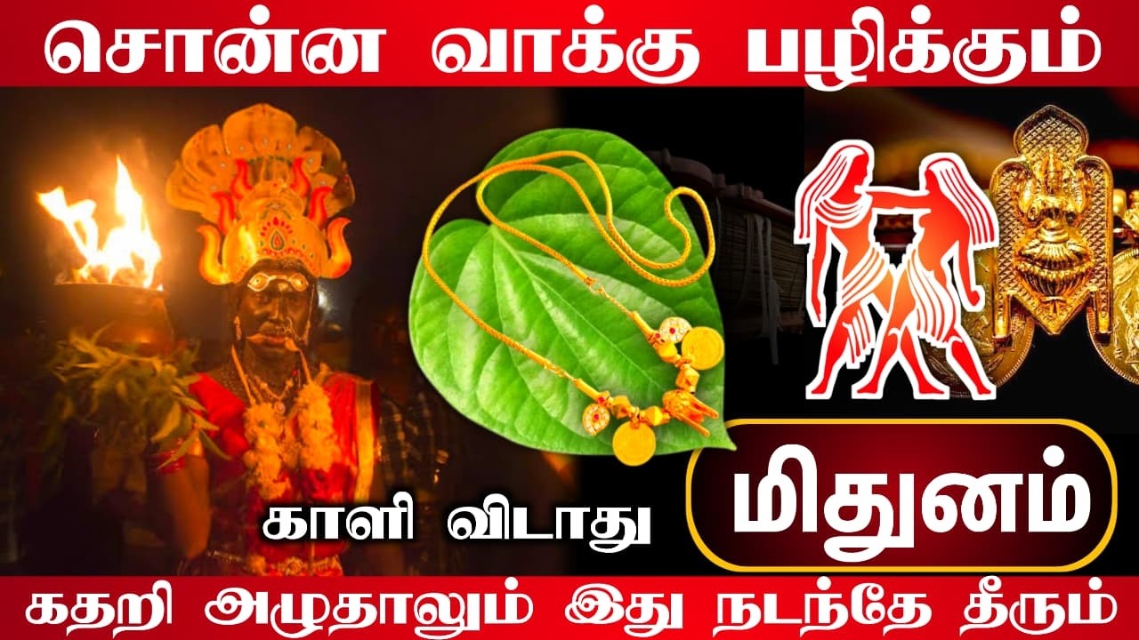 சொன்ன வாக்கு பழிக்கும் ! மிதுனம் ! கதறி அழுதாலும் இது நடந்தே தீரும் ! mithunam rasi ! 2026 !