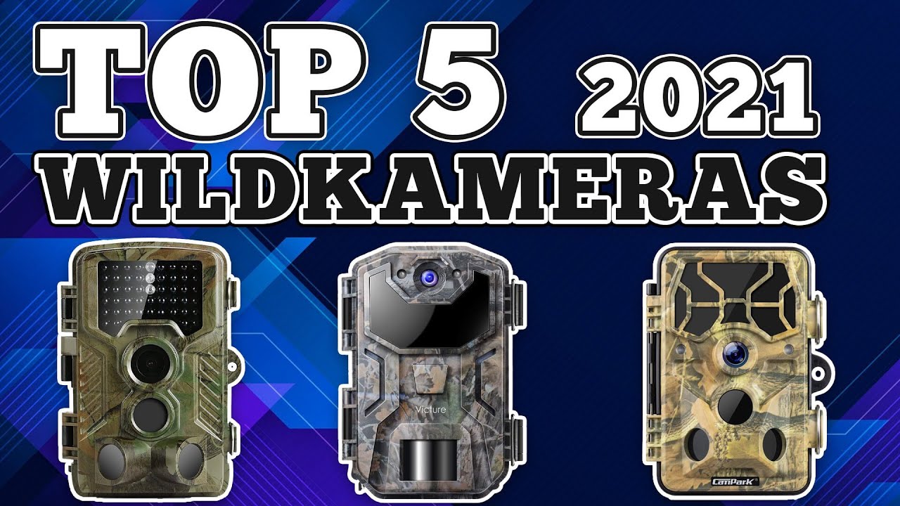 Welche Wildkamera kaufen 2021? Beste Wildkameras im Vergleich 🦌 (Deutsch)