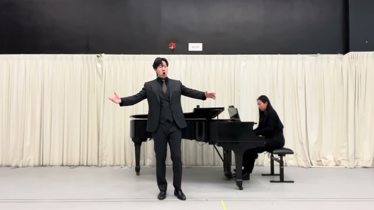 Riez, allez, riez du pauvre idéologue (Don Quichotte) - J.Massenet      Bass Baritone Boheng shen