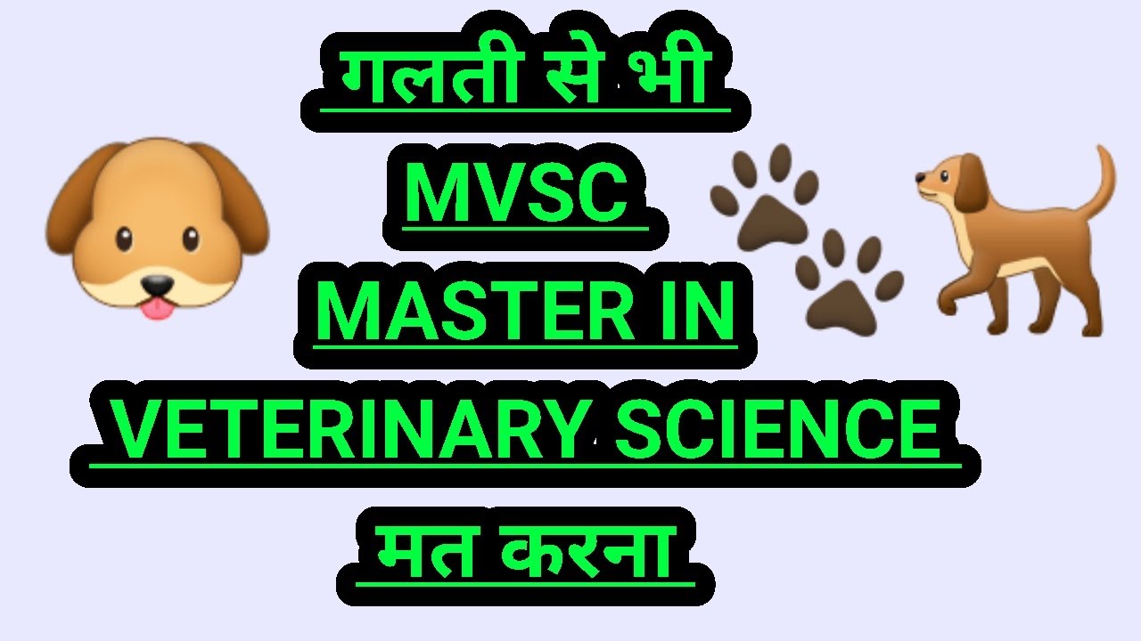 Must Watch Before Doing a Master Degree in Veterinary Science in India scope after veterinary