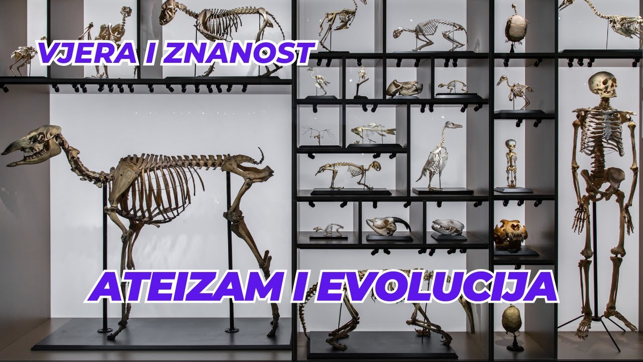Ateizam i evolucija