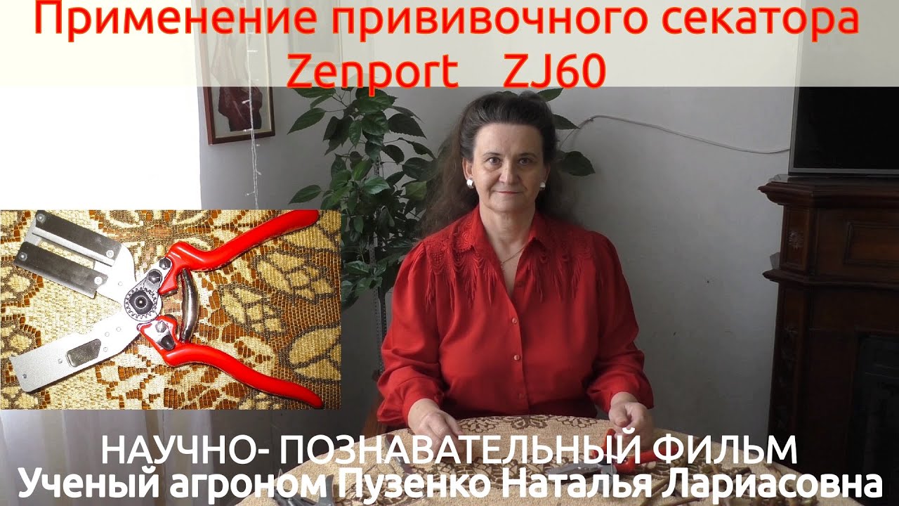 Секатор для  прививок винограда Zenport  ZJ60. Удобно и надежно (Пузенко Н.Л.)