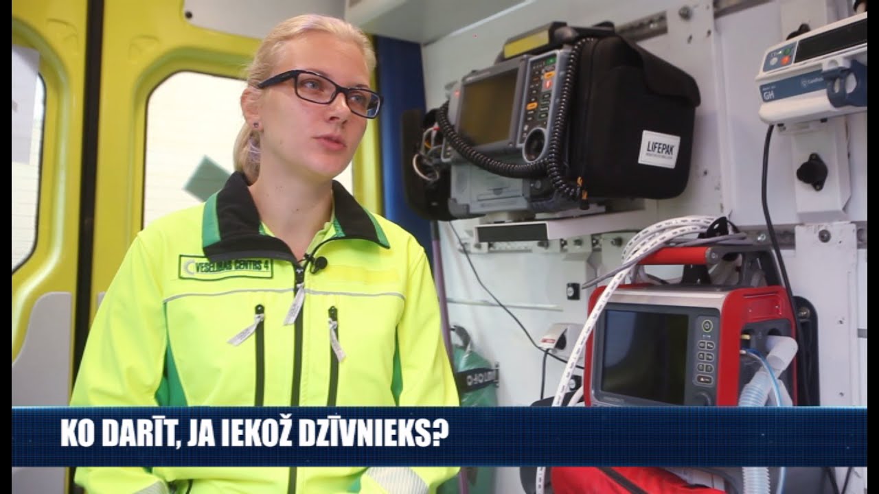 Ko darīt, ja iekož dzīvnieks?