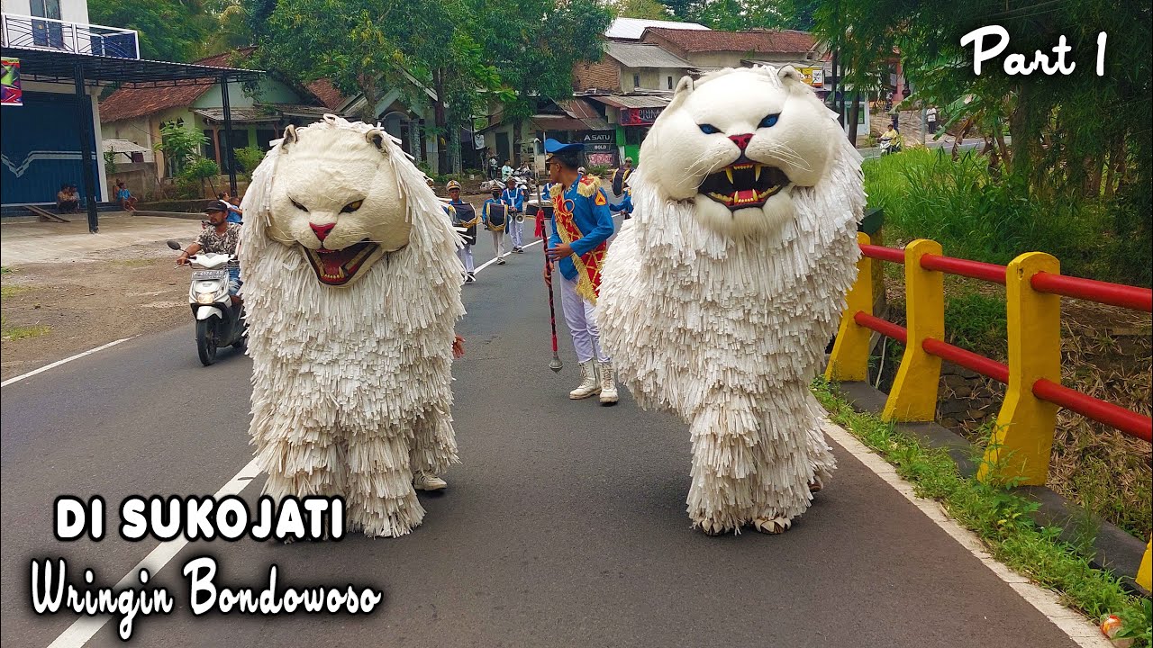 KIRAB CAN MACANAN DAN DRUMBAND SINGO MANGGALA DI SUKOJATI SBR MALANG BRINGIN BONDOWOSO PART1.mp4