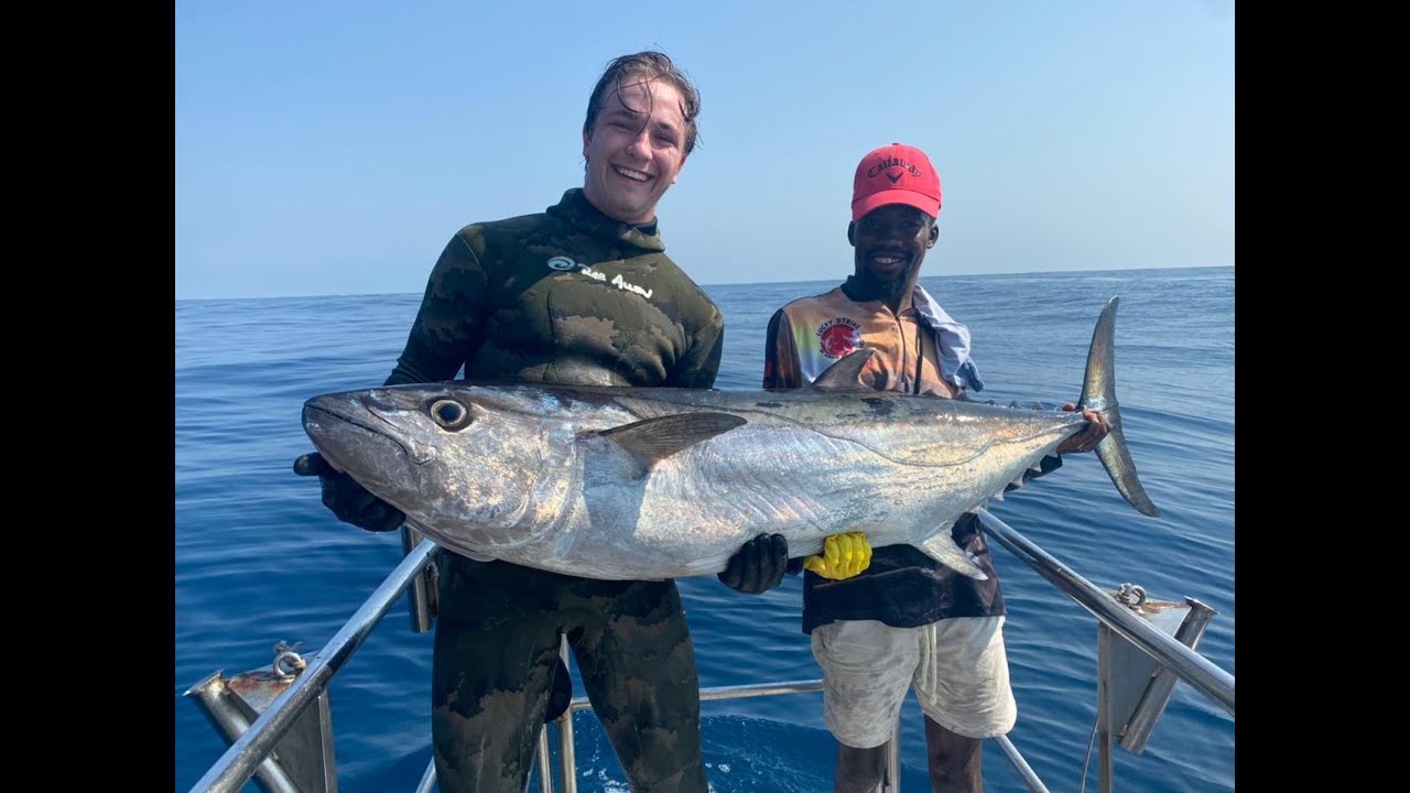 Spearfishing Mozambique Primeiras Archipelago, Dogtooth tuna, Green Jobfish