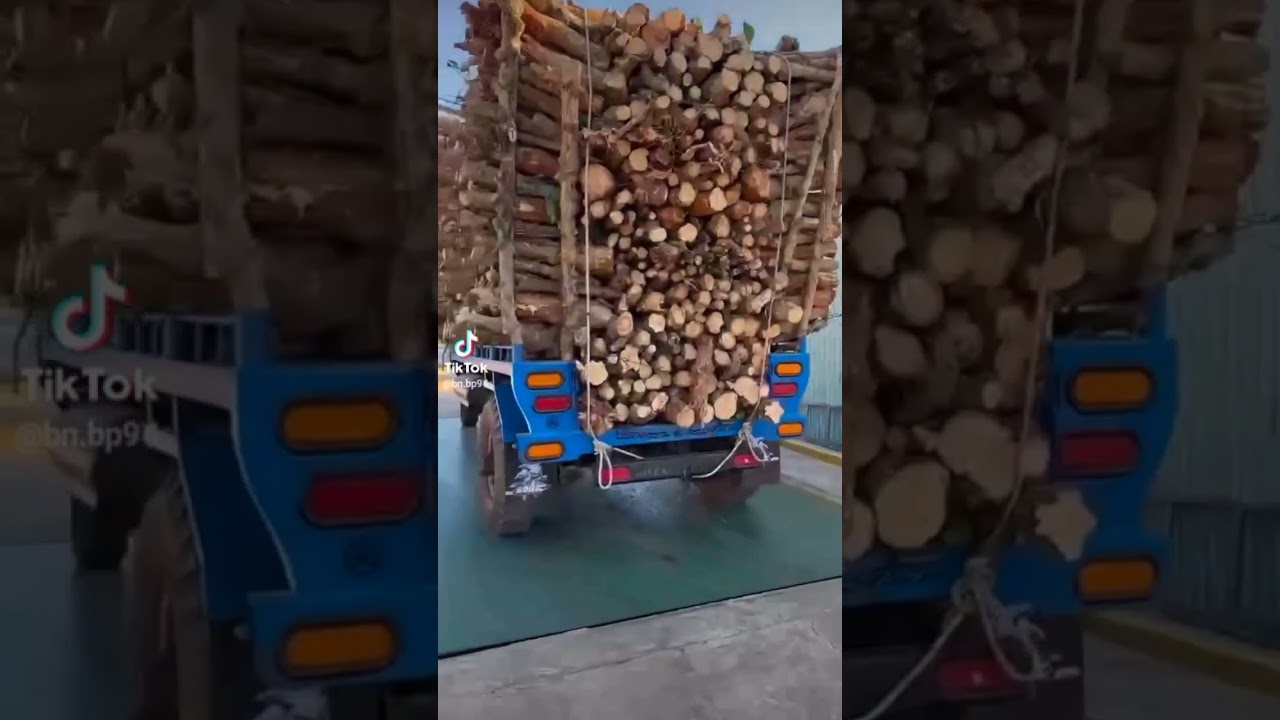 Xe công nông chở củi phần 19