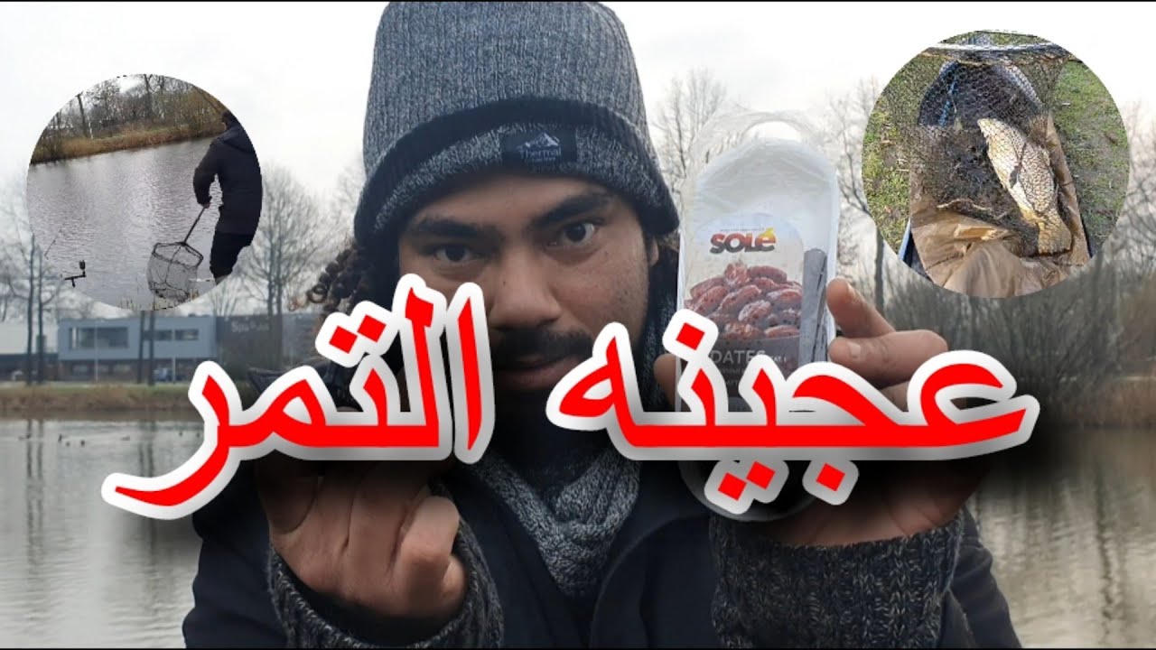 عجينه التمر لصيد السمك(النيل والانهار والتيارات السريعه)