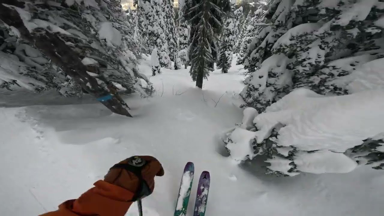 Bluewood - Rated R First Run (1-11-25)