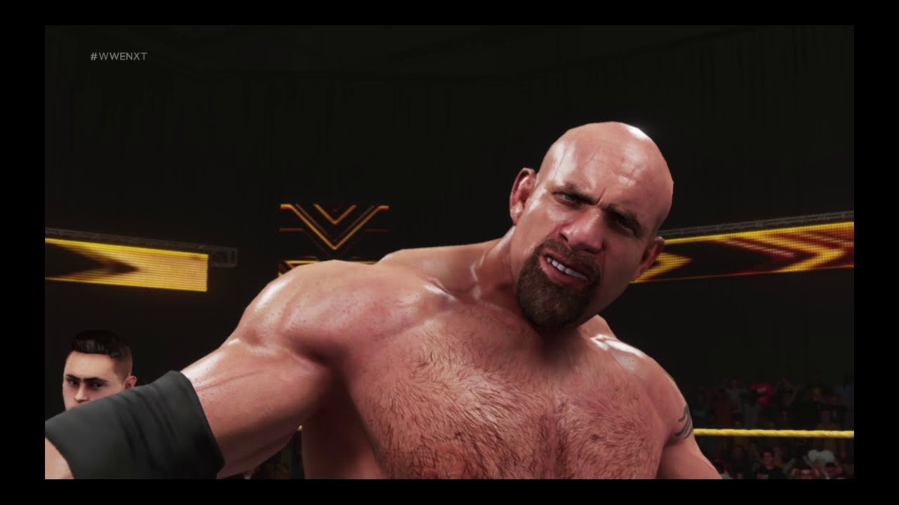 Goldberg VS Akam of AOP