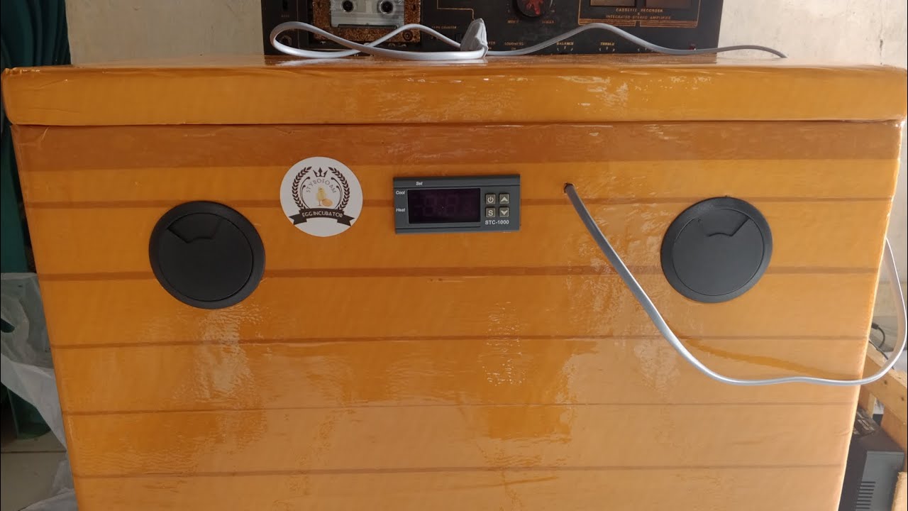 Cara membuat mesin tetas telur dari bahan box styrofoam