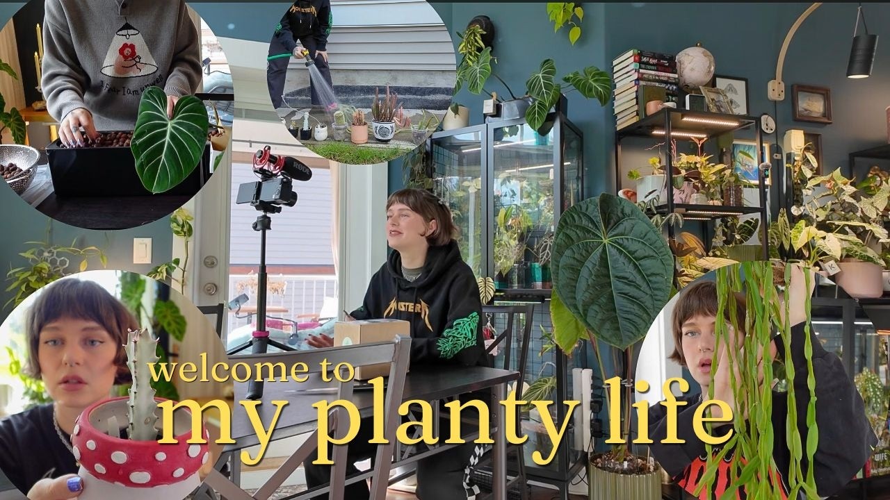 a week in my indoor jungle | behind the scenes, plant care, & chatting 🌿☕️