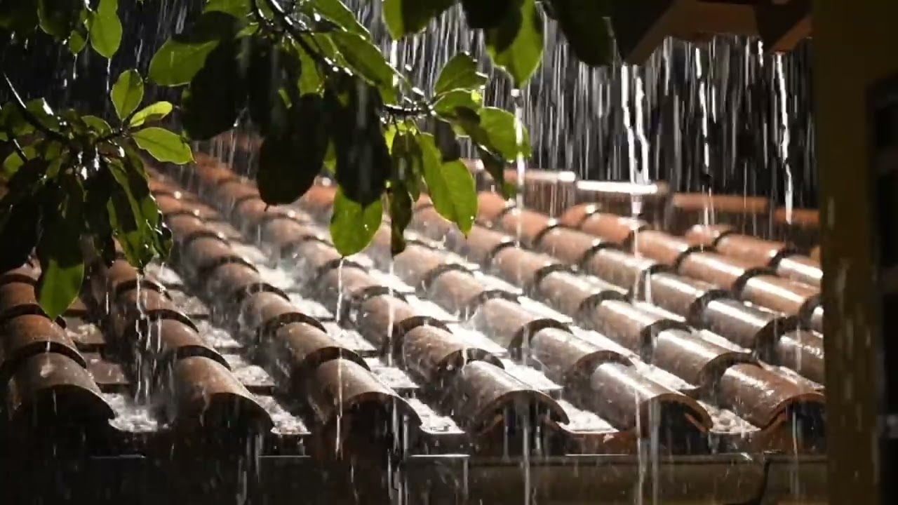 Rain in the Jungle for Deep Relaxation