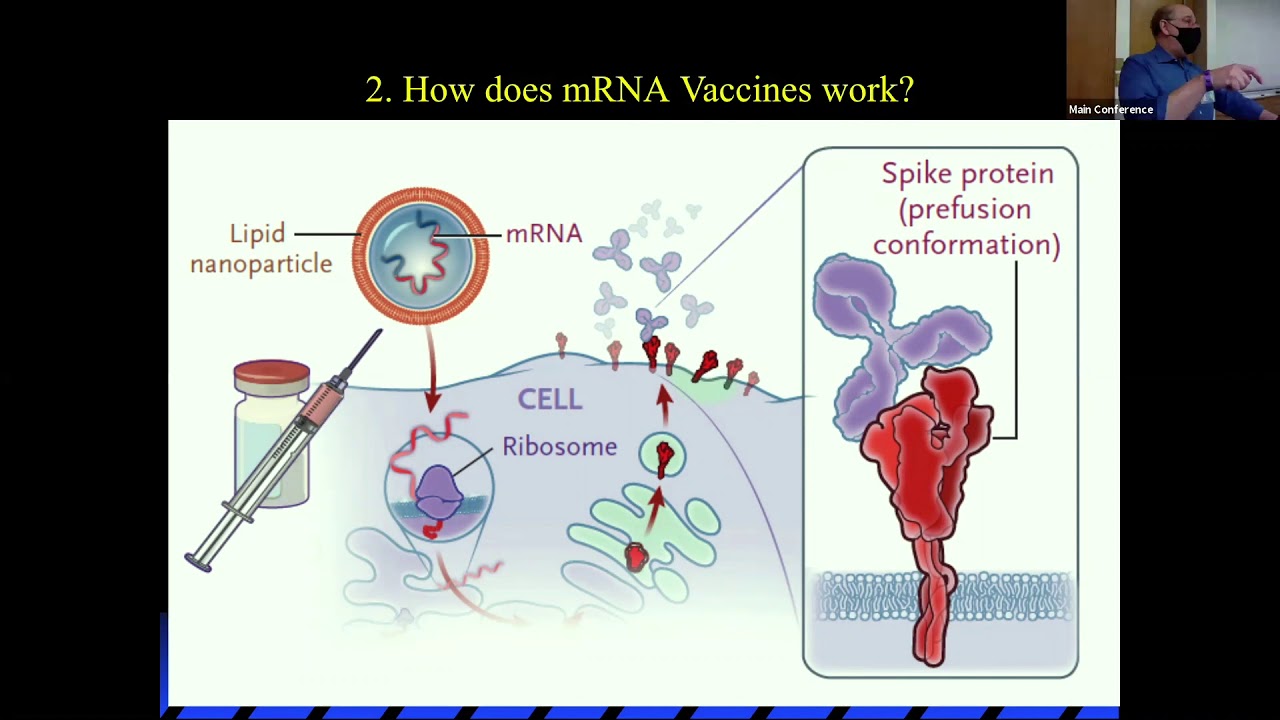 Dr  Sinert   SARS COV 2 Vaccine Talk