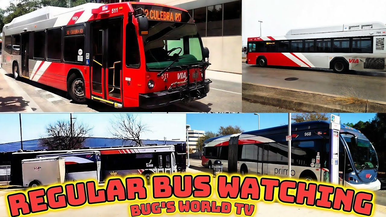 Hey Gang.. Regular Bus watching #5