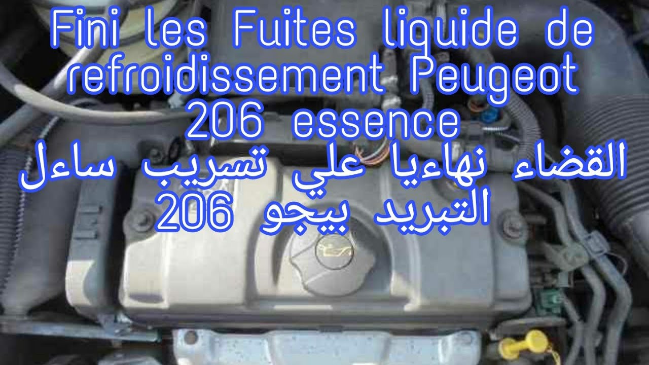 Fini les Fuites liquide refroidissement Peugeot 206 essence اقضي نهاءيا علي تسريب ساءل تبريد المحك