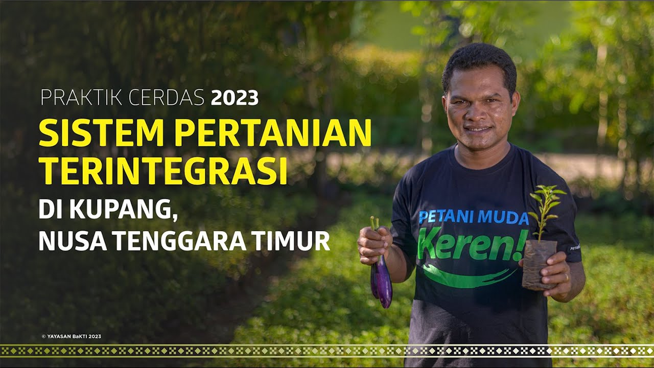Sistem Pertanian Terintegrasi di Kupang, Nusa Tenggara Timur