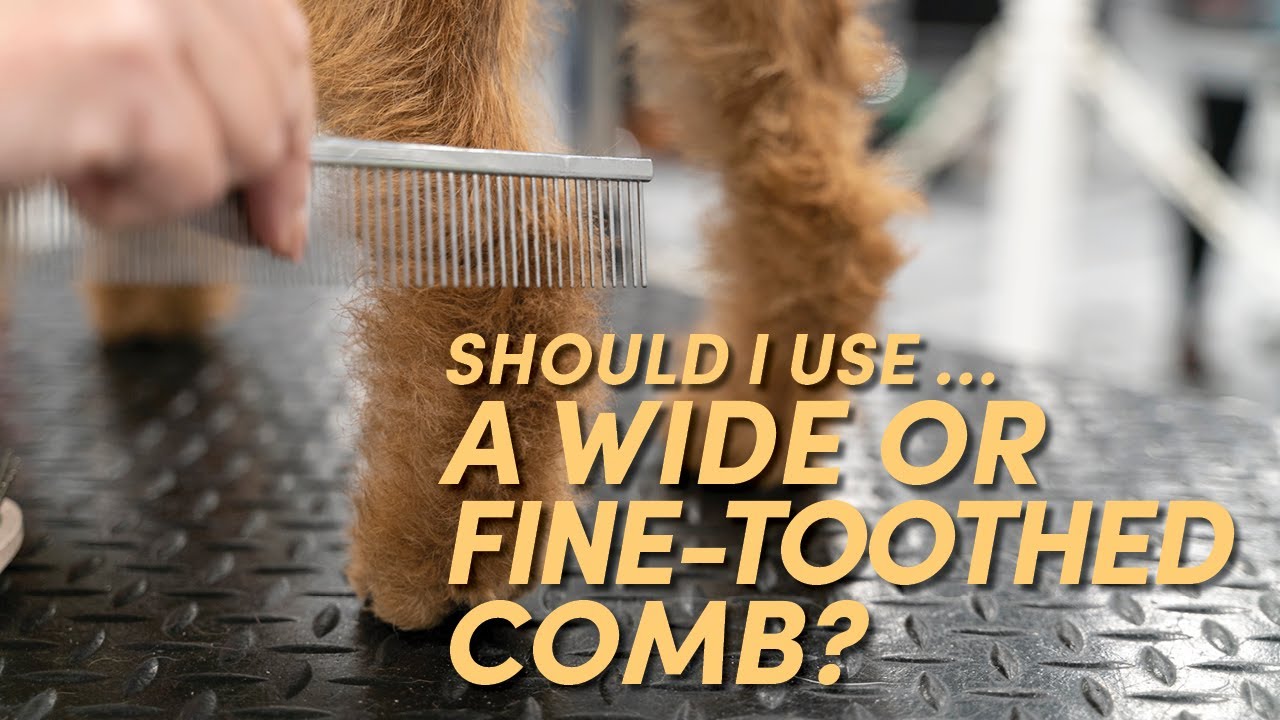 Should I Use… A Wide- or Fine-Toothed Comb? | Dog Handling & Grooming Equipment Series