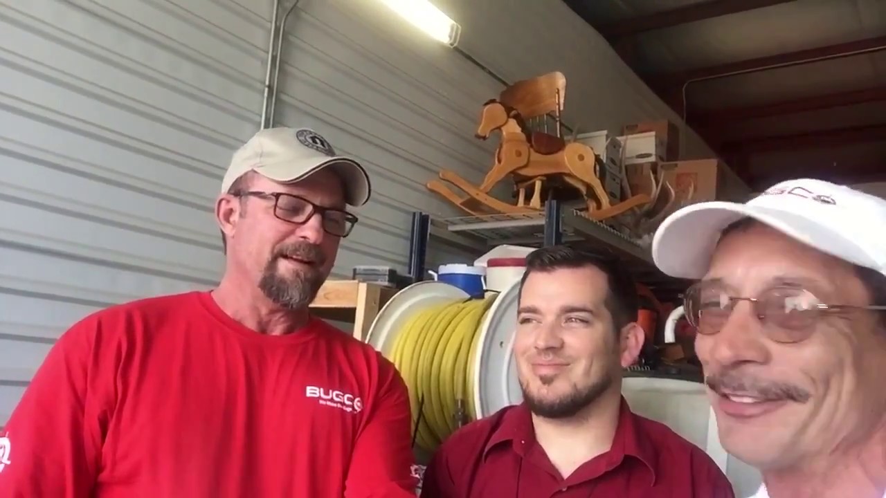 Effective Mosquito Control Strategies for Houston   BUGCO Pest Control
