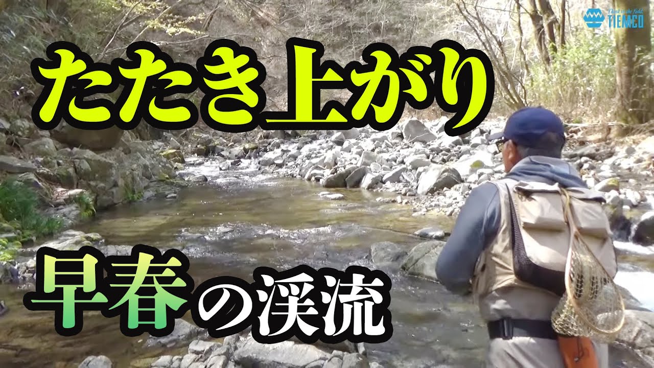 早春の渓流フライフィッシング「ドライフライでたたき上がりの釣り」