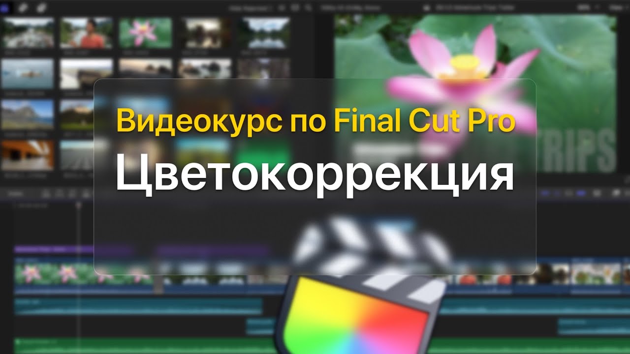 🎨 Цветокоррекция — курс уроков по Final Cut Pro