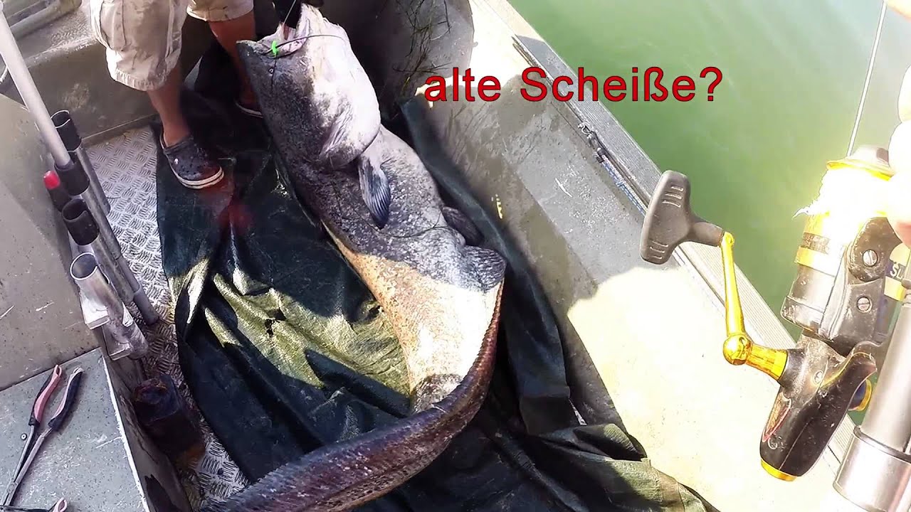 Welscamp Spanien Juli 2014 - Live Biss - Drills