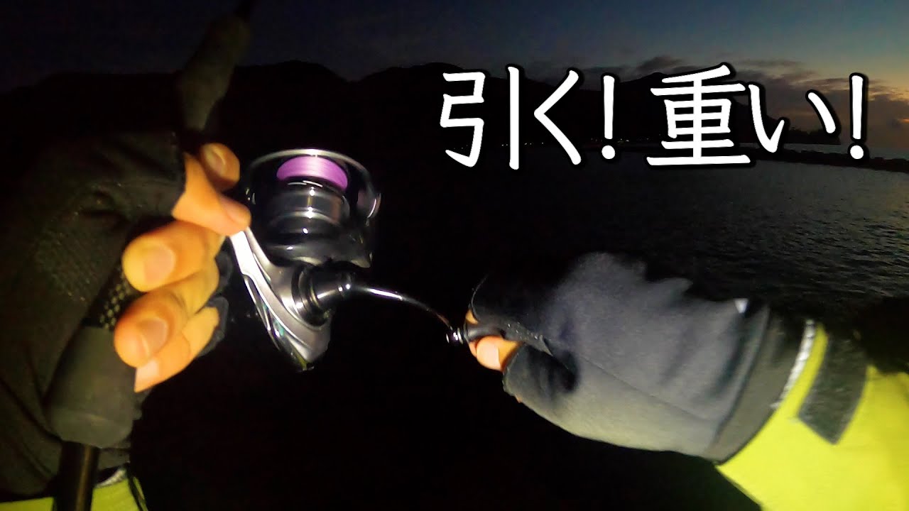 日が沈んだ瞬間デカイカがドンッ！やはりこのエギ凄い…【宇久須キャンプ場】