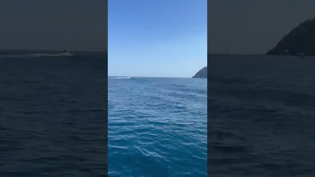 Modus Mio jetzt online ✨ 