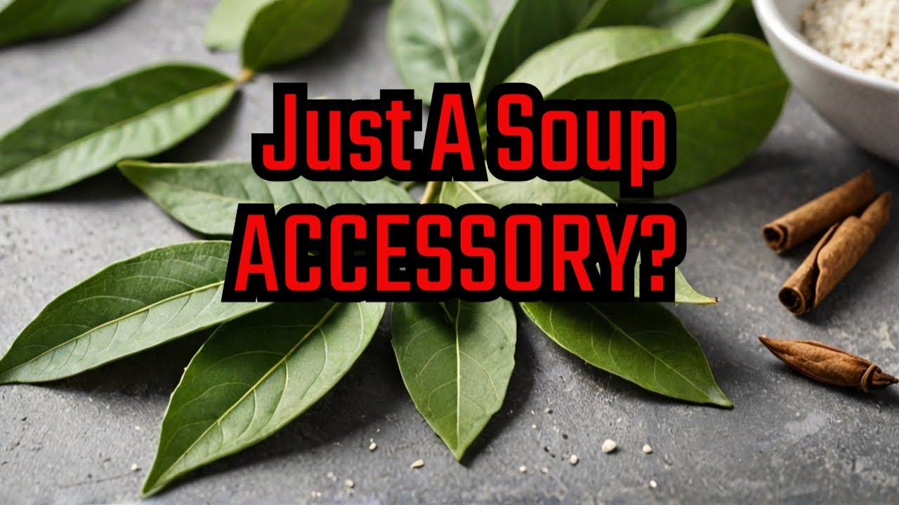 Bay Leaf Uses: Benefits & Surprising Side Effects