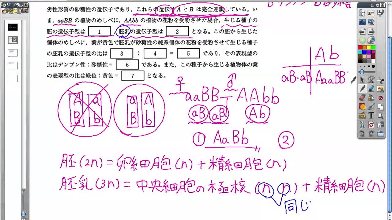 生物講座「胚乳の遺伝・種皮の遺伝」