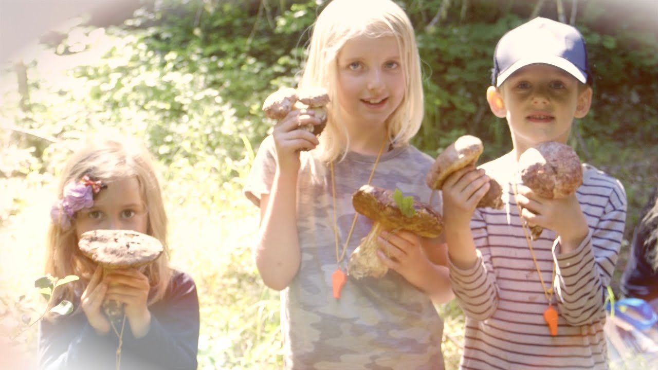 Finding the Spring Porcini and Family Mushroom Foray - Spring King - S2E9