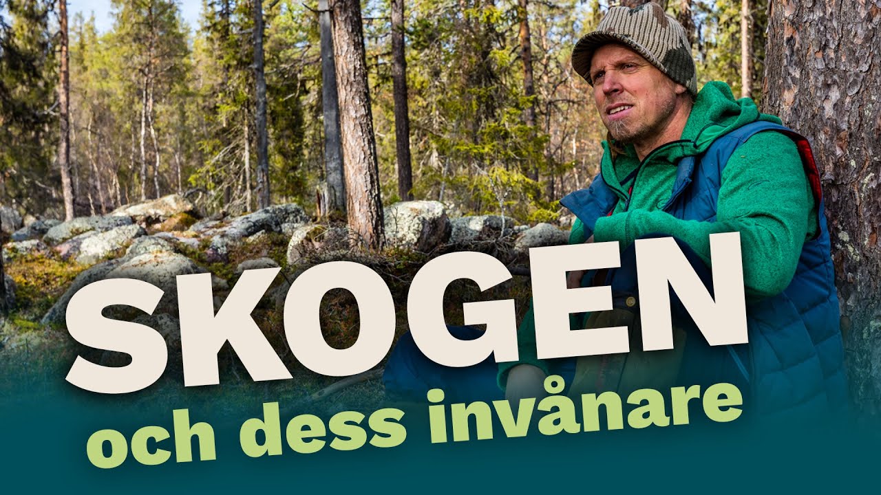 Skogen och dess invånare - Sebastian Kirppu