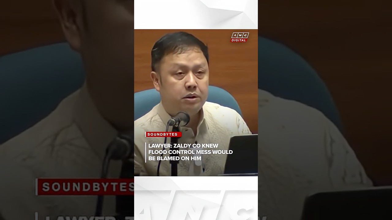 Lawyer: Zaldy Co knew flood control mess would be blamed on him | ANC