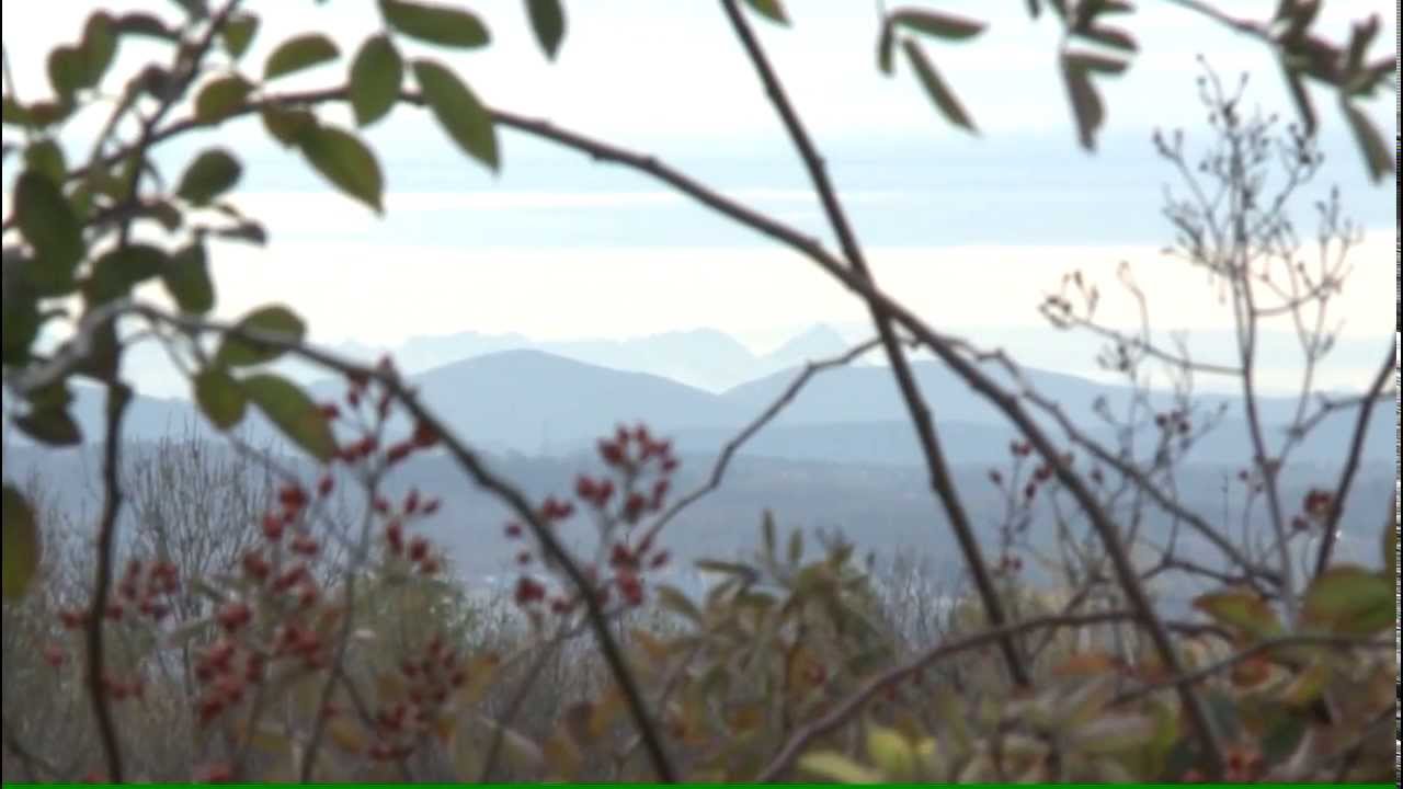 widok z Krakowa na Tatry