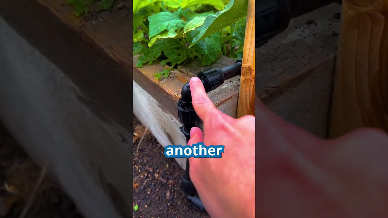 How to Convert to a Self-Watering Raised Bed Garden