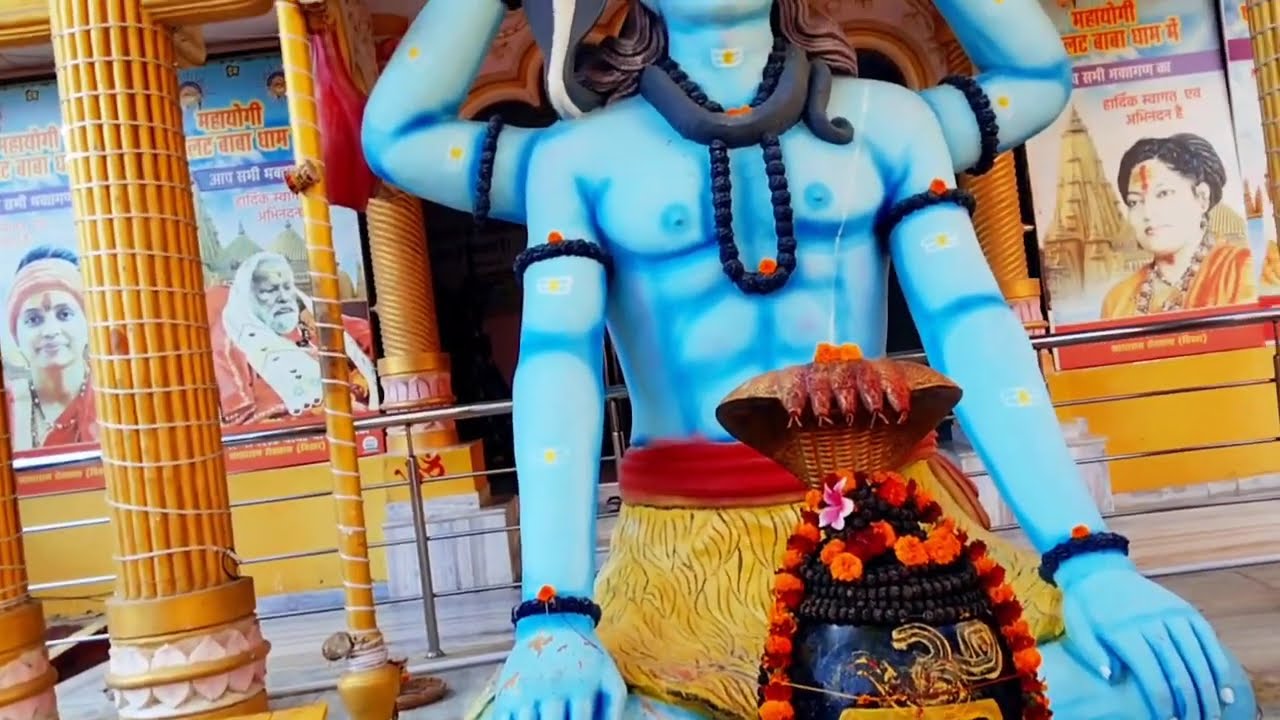 20 फरवरी फाल्गुन शुक्रवार तृतीया तिथि के दिन 11 चावल के दाने वाला उपाय जरुर करें |#pradeepmishraupay